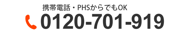 0120-701-919